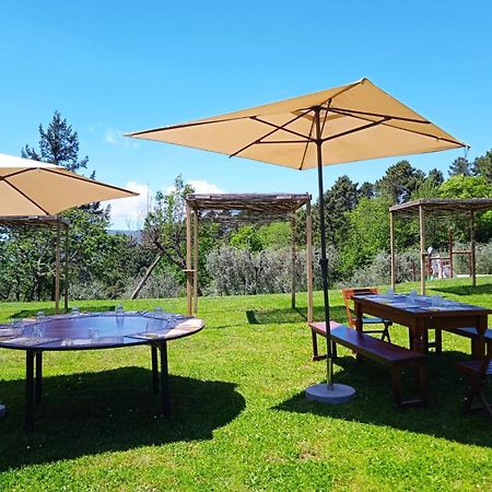 Agriturismo Da Nonna Argia Massa e Cozzile Екстер'єр фото