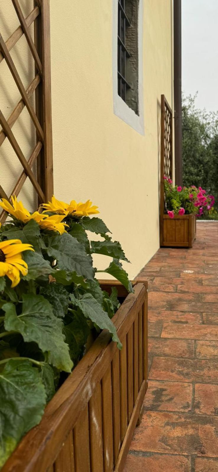 Agriturismo Da Nonna Argia Massa e Cozzile Екстер'єр фото