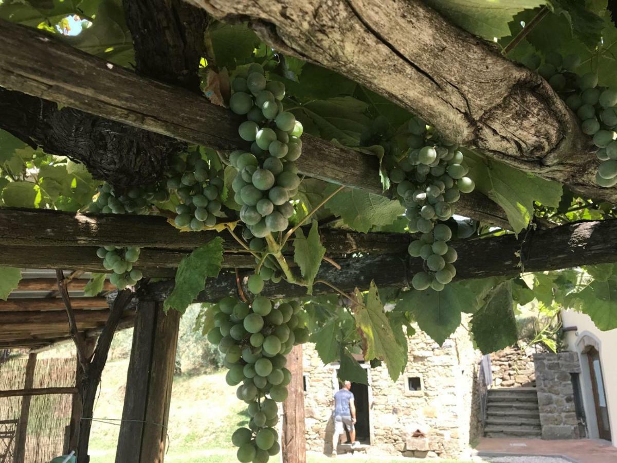 Agriturismo Da Nonna Argia Massa e Cozzile Екстер'єр фото